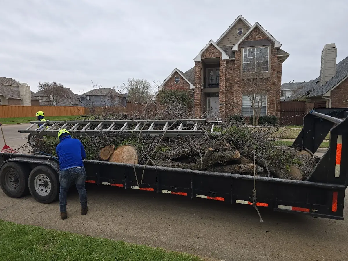 Expert Tree Fertilization with proper safety equipment in Tybee Island